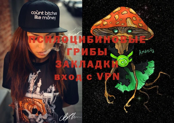 Альфа ПВП Лагань